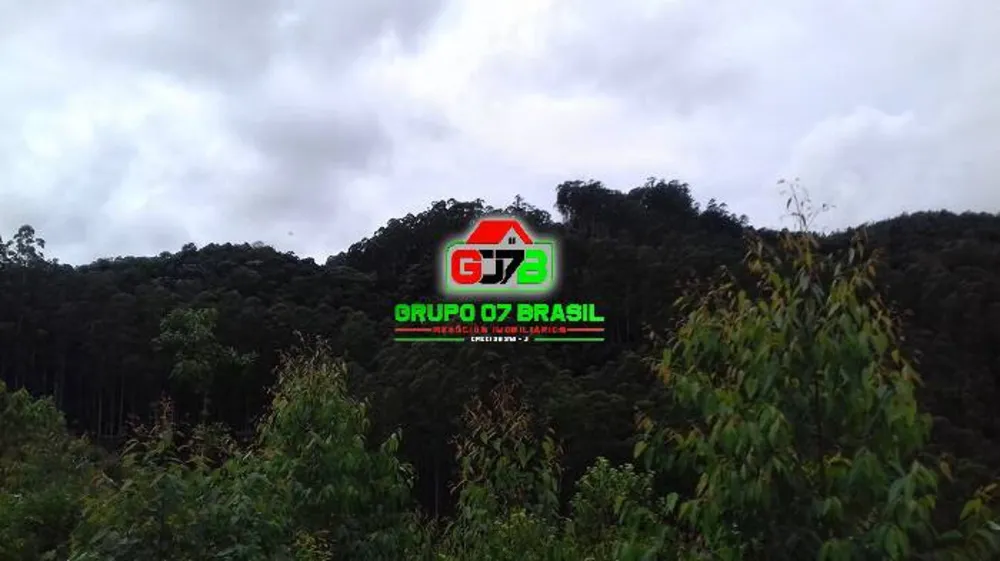 Terreno, 3 hectares - Foto 4