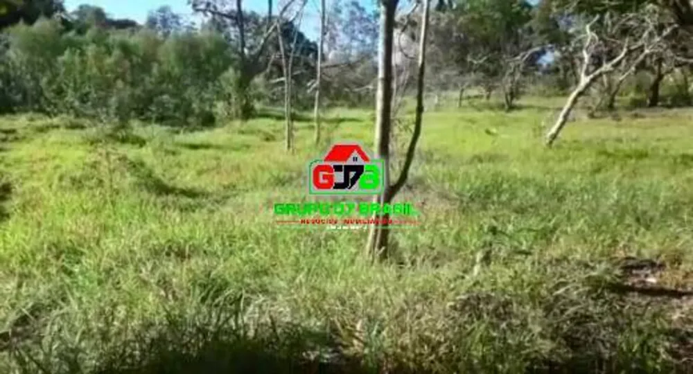 Terreno, 2 hectares - Foto 12