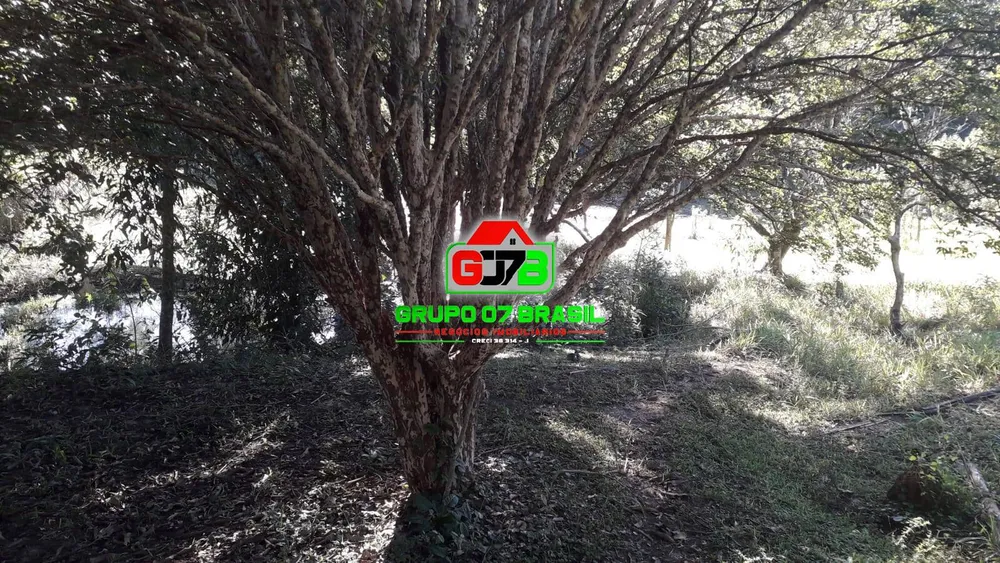 Terreno, 2 hectares - Foto 4