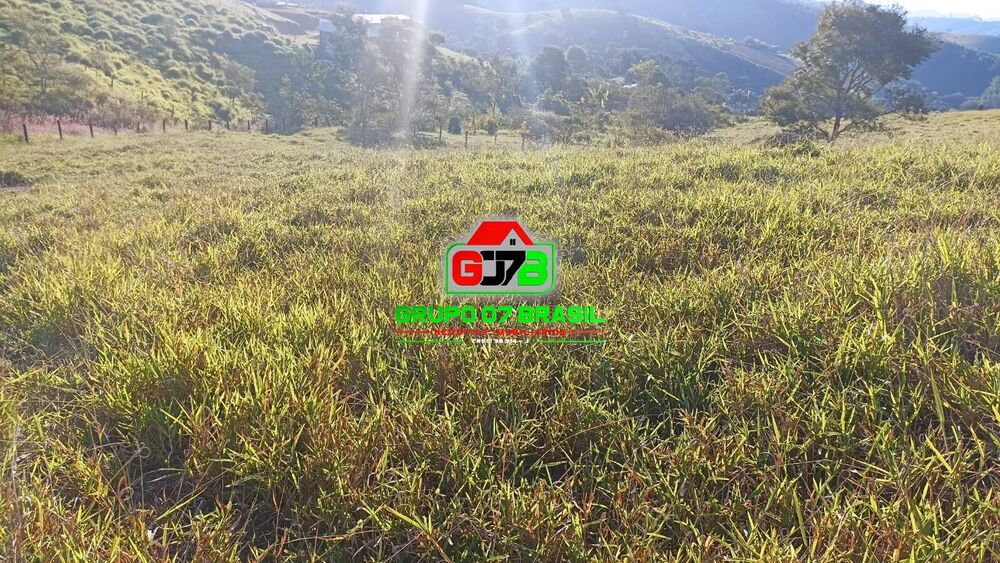 Terreno, 3 hectares - Foto 3