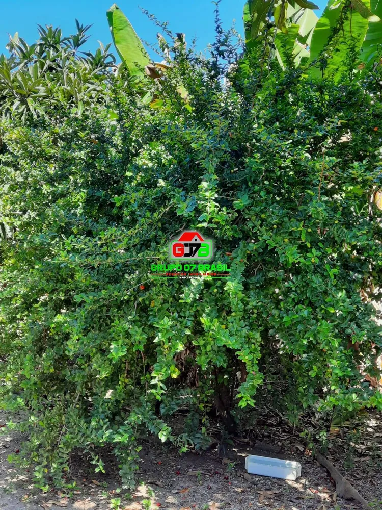 Terreno, 2 hectares - Foto 12