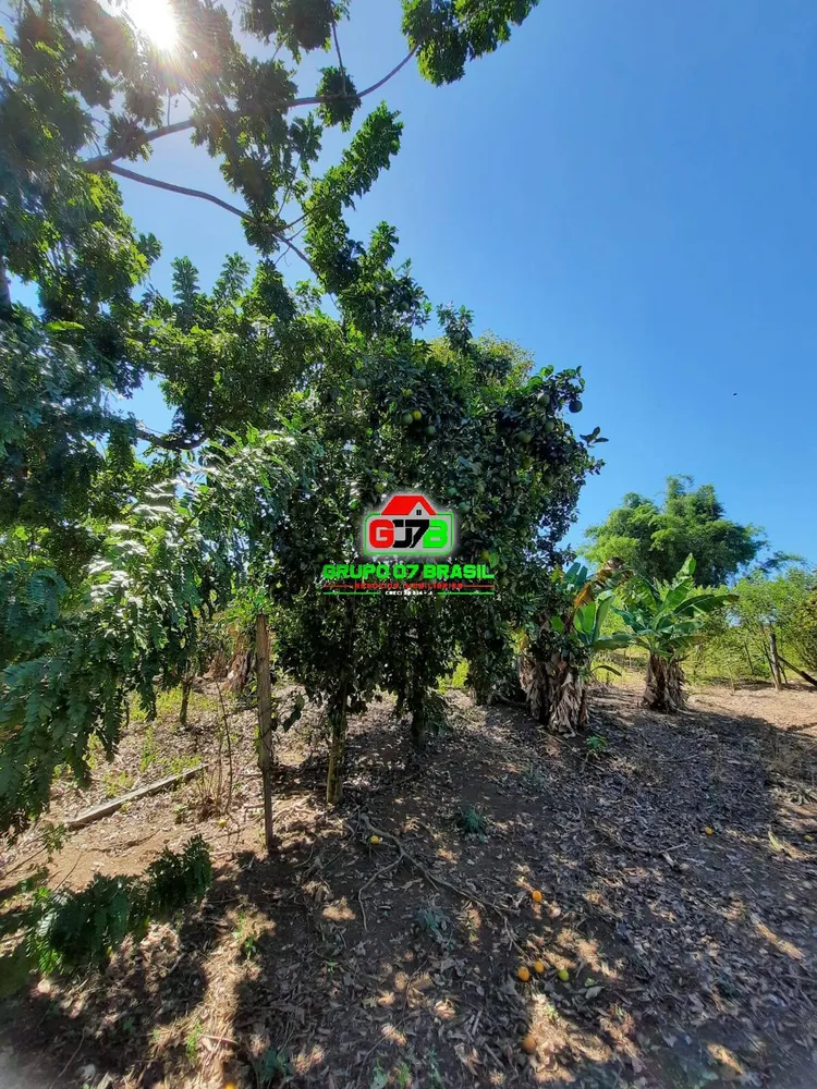 Terreno, 2 hectares - Foto 7