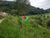 Terreno, 3 hectares - Foto 4