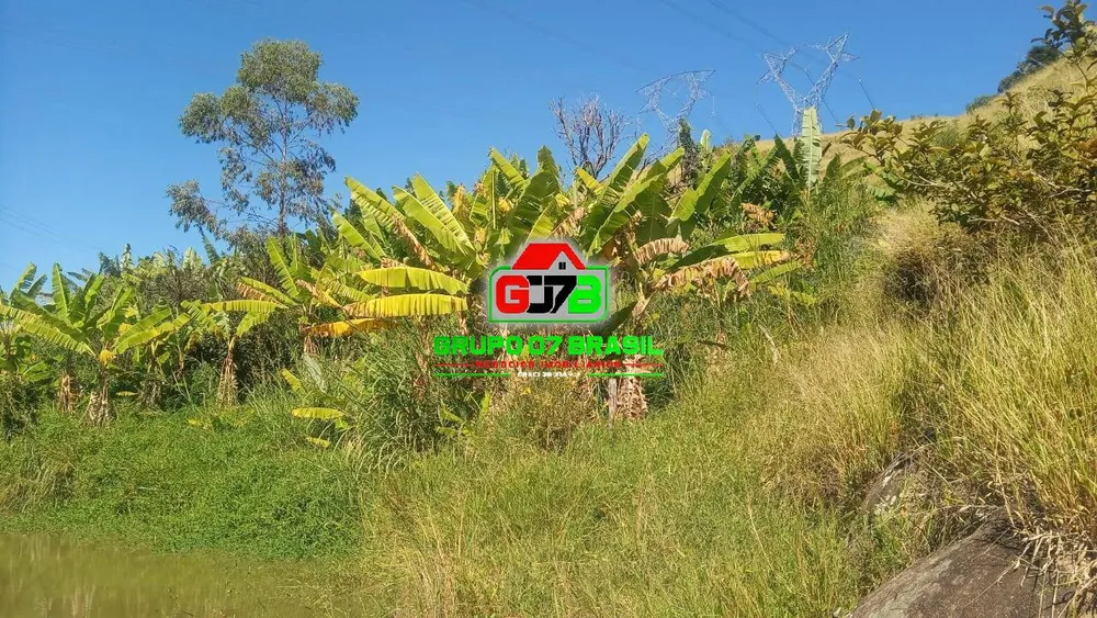 Terreno, 6 hectares - Foto 7