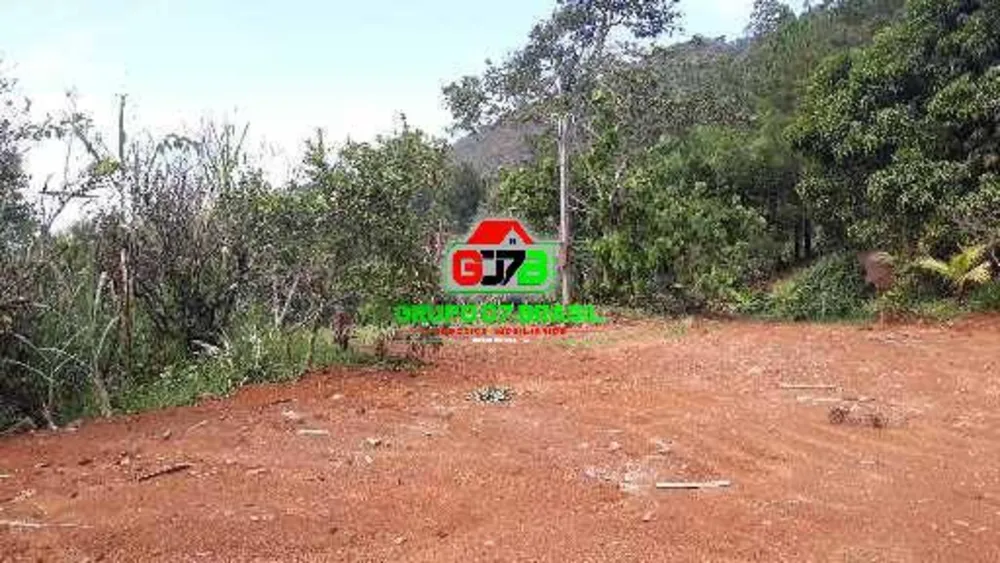 Terreno, 4 hectares - Foto 12