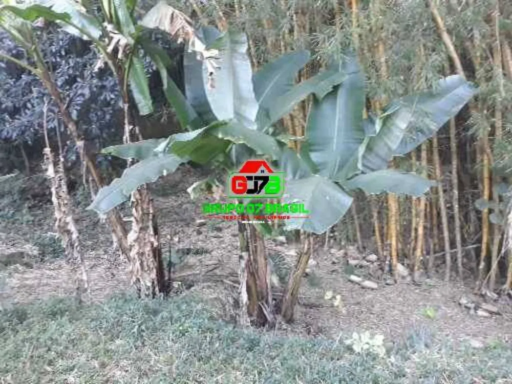 Terreno, 4 hectares - Foto 10