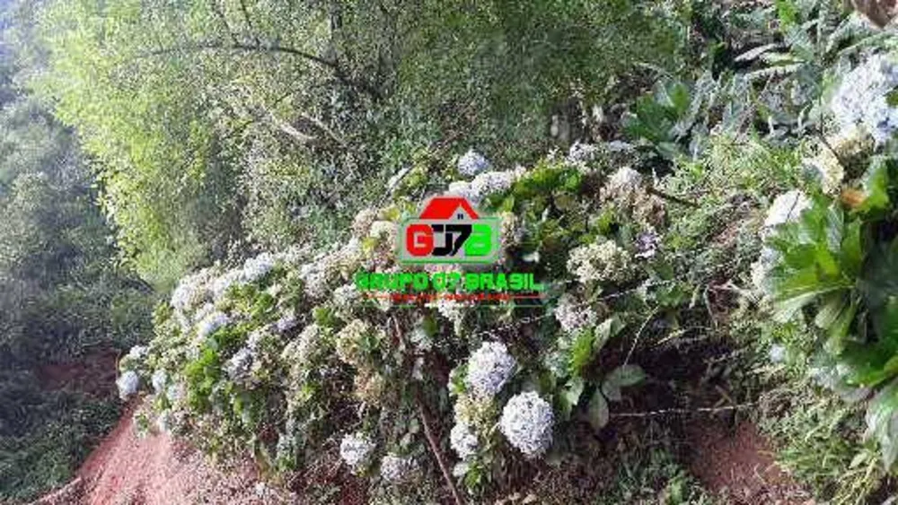 Terreno, 4 hectares - Foto 11