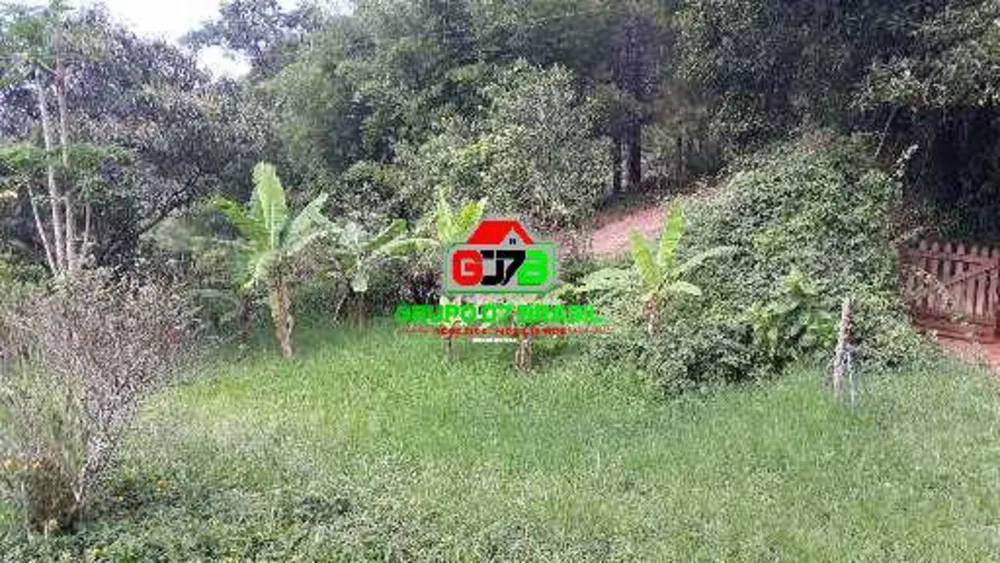 Terreno, 4 hectares - Foto 8