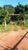 Terreno, 220 m² - Foto 4