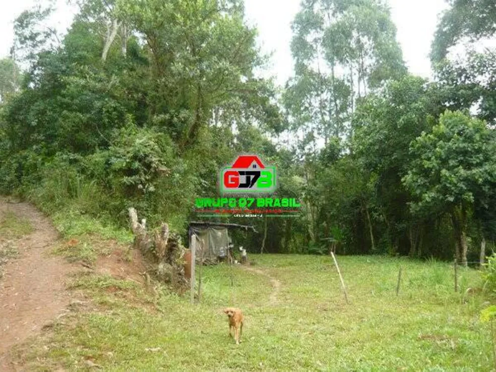Terreno, 3 hectares - Foto 4
