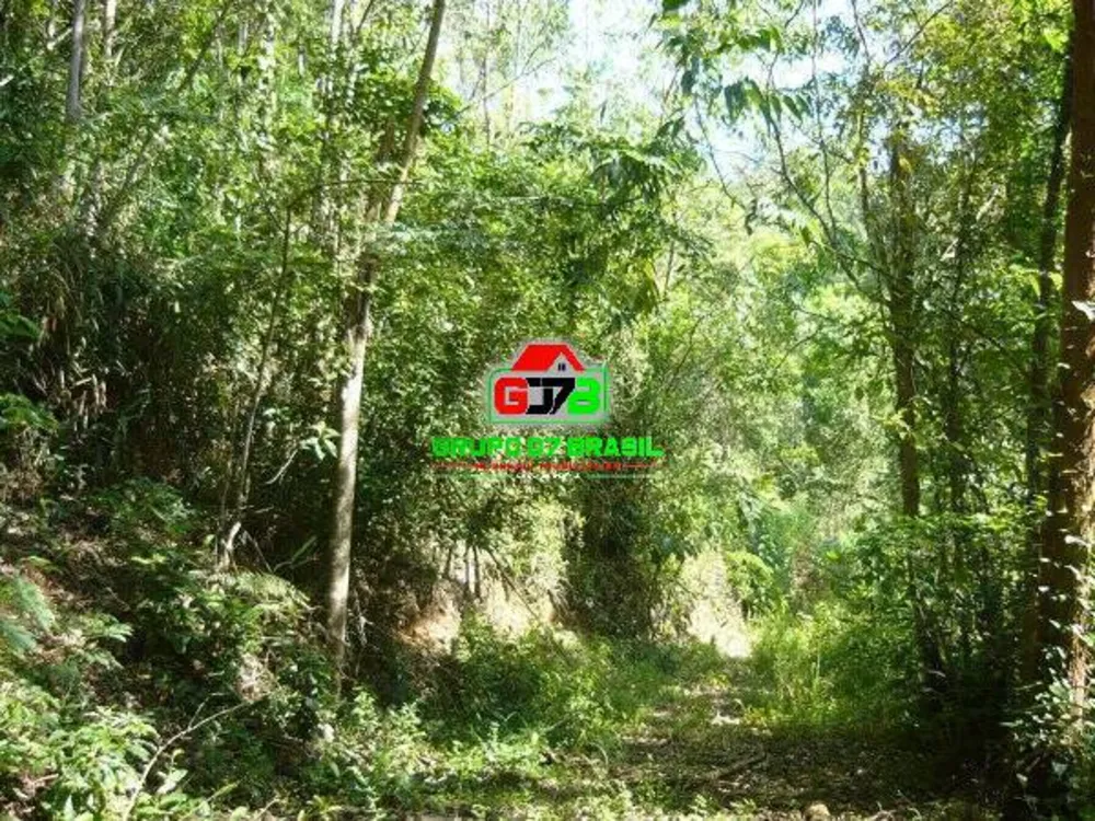 Terreno, 3 hectares - Foto 3