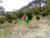 Terreno, 3 hectares - Foto 1