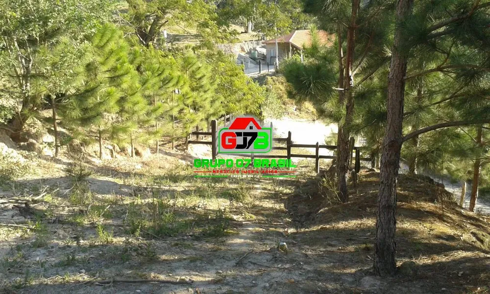 Terreno - Foto 2
