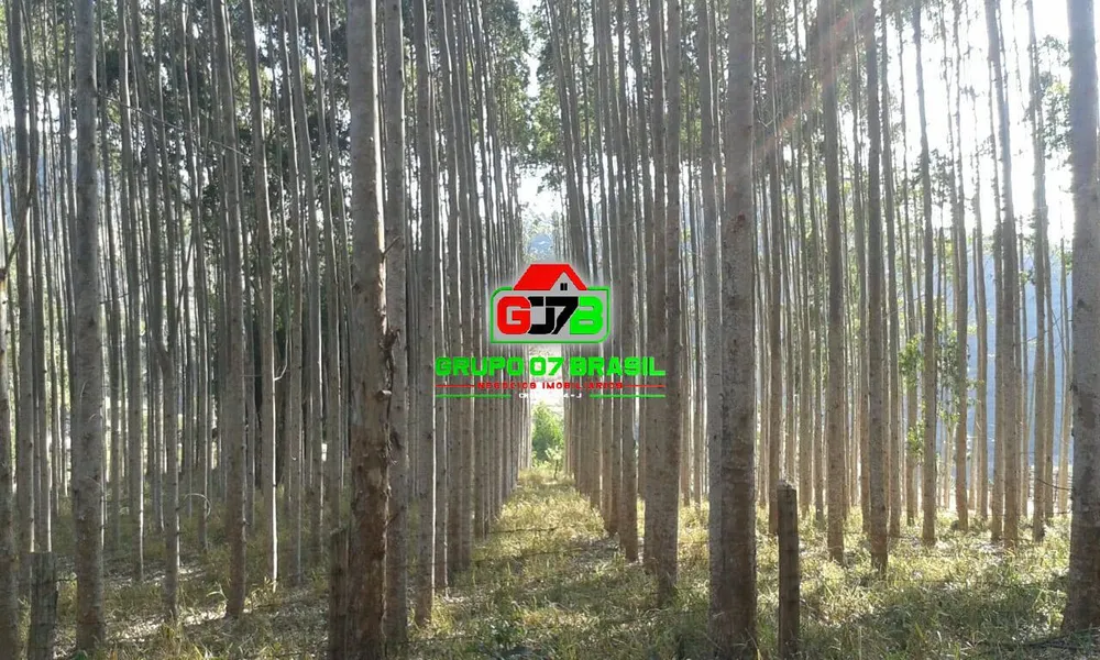 Terreno - Foto 7