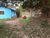 Sítio, 7 quartos, 3 hectares - Foto 3