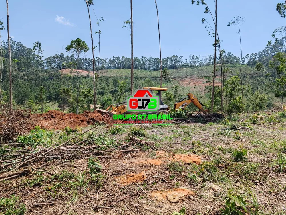 Terreno à venda, 20000m² - Foto 3