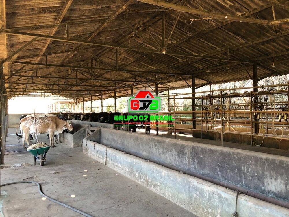 Terreno, 90 m² - Foto 6