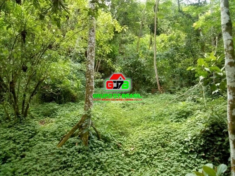 Terreno, 2 hectares - Foto 11