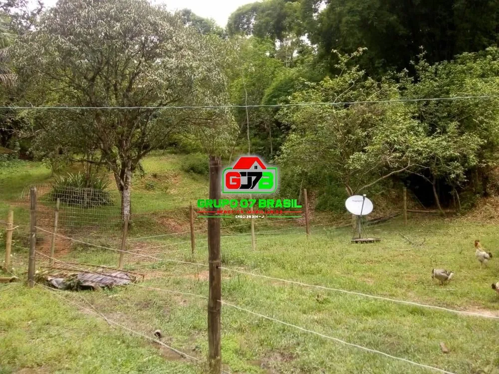 Terreno, 2 hectares - Foto 6