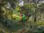 Terreno, 2 hectares - Foto 12