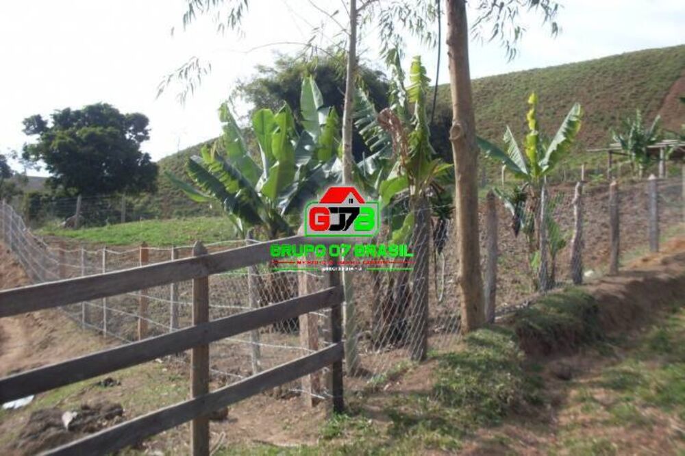 Sítio à venda com 3 quartos, 605000m² - Foto 3