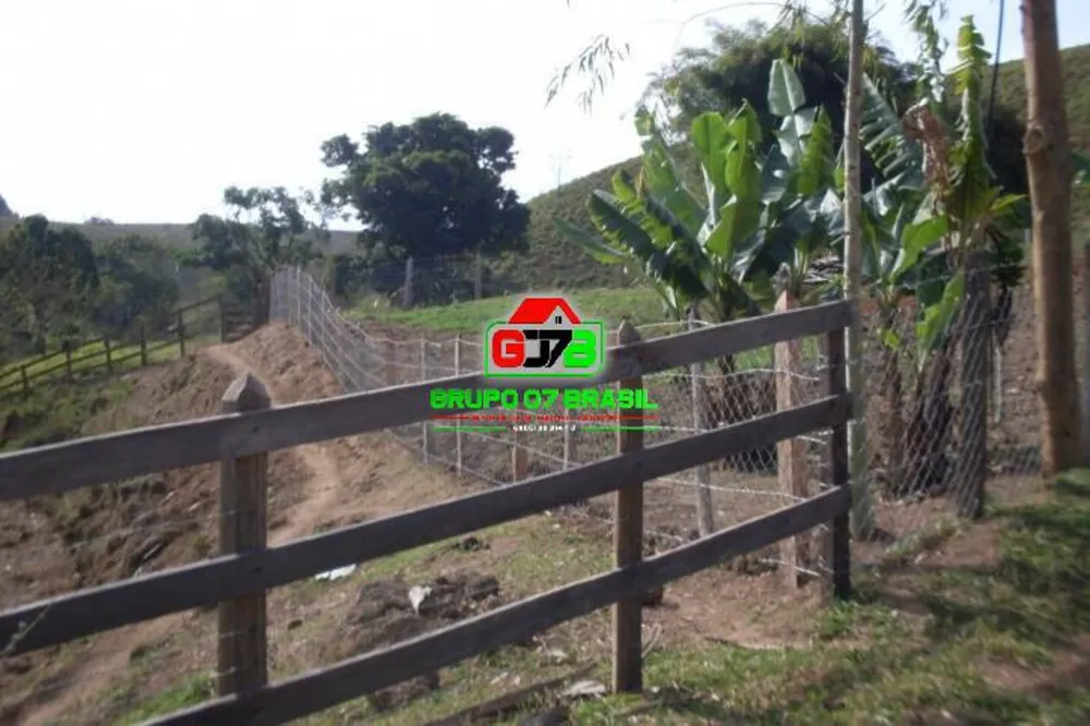 Sítio, 3 quartos, 61 hectares - Foto 10