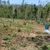 Terreno, 2 hectares - Foto 1