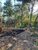 Terreno, 2 hectares - Foto 2