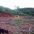 Terreno, 3 m² - Foto 1