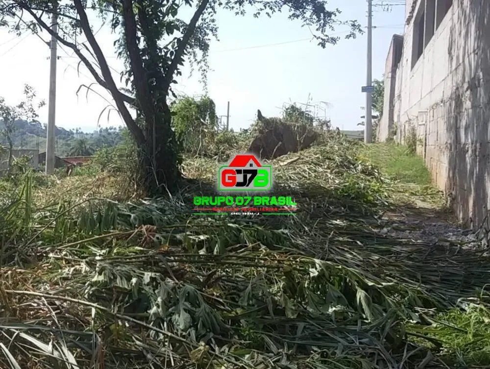 Terreno, 1000 m² - Foto 1