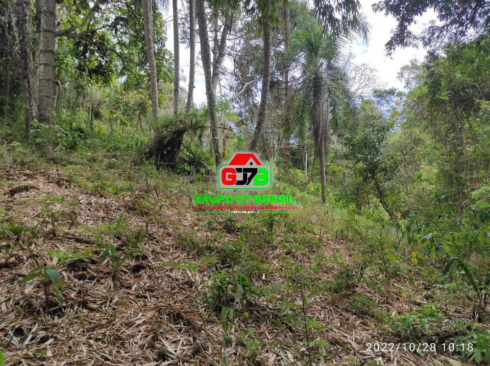 Terreno, 4 hectares - Foto 2