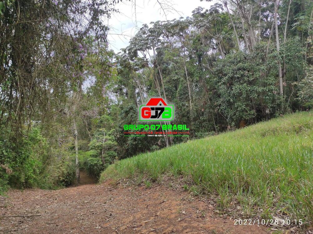 Terreno, 4 hectares - Foto 4