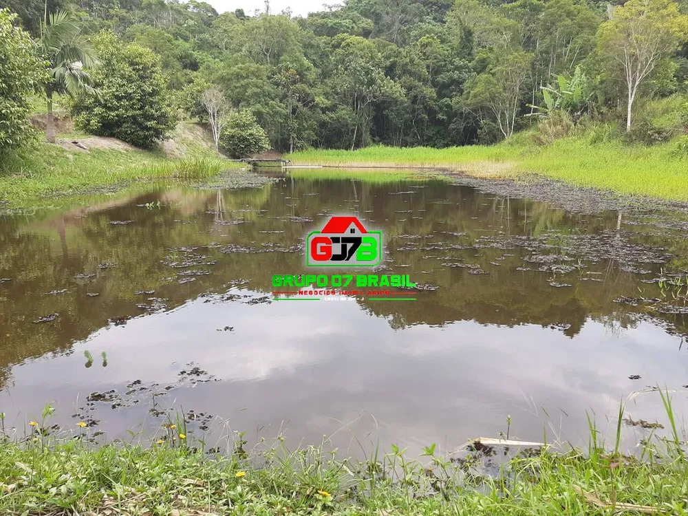 Terreno, 3 hectares - Foto 7