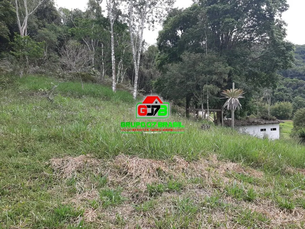 Terreno, 3 hectares - Foto 1