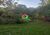 Terreno, 10 hectares - Foto 3