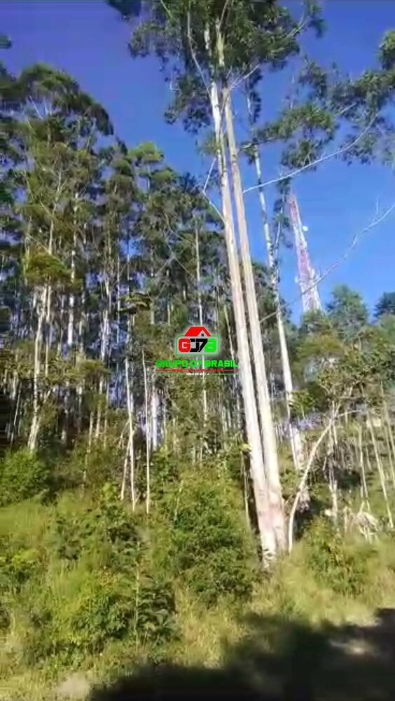 Terreno, 3088 m² - Foto 3