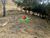 Terreno, 53 m² - Foto 5