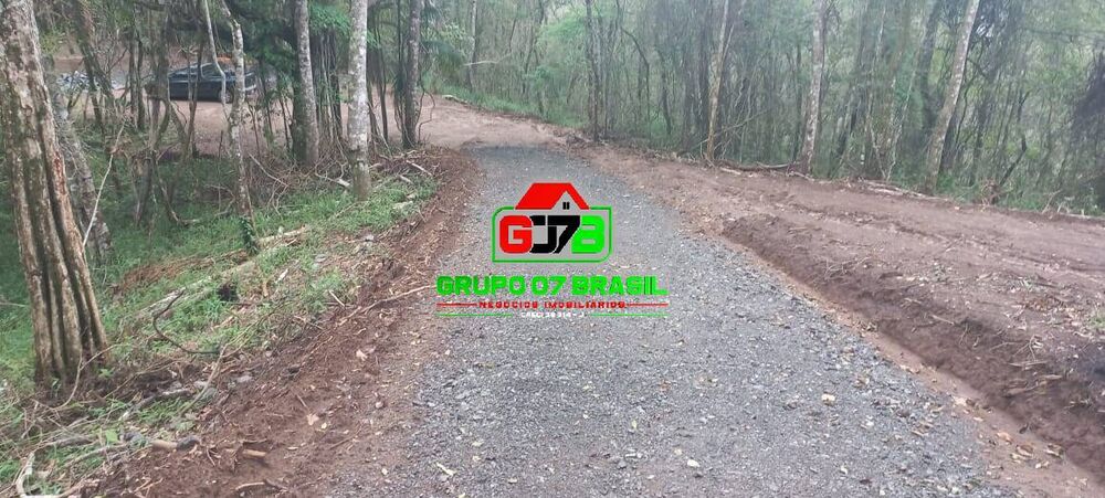 Terreno, 3 hectares - Foto 5