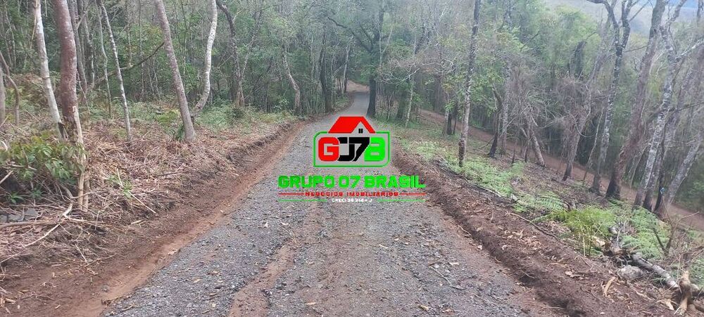 Terreno, 3 hectares - Foto 11