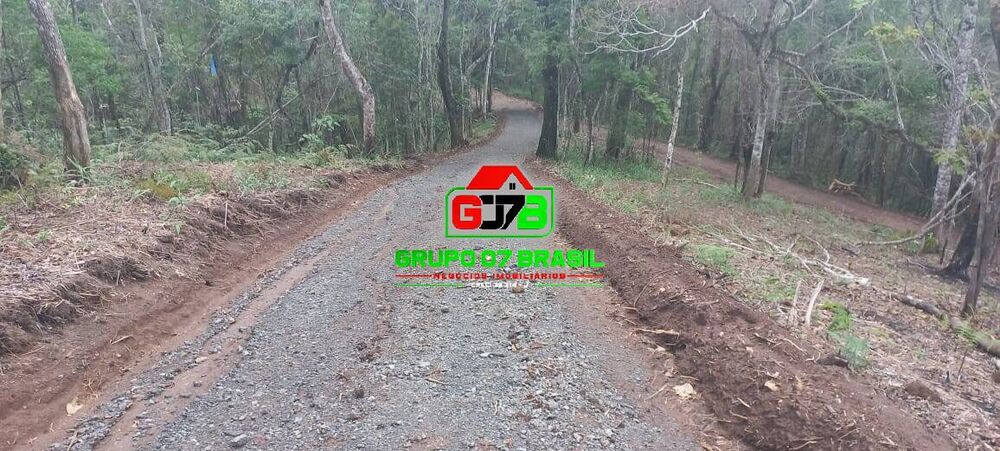 Terreno, 3 hectares - Foto 3