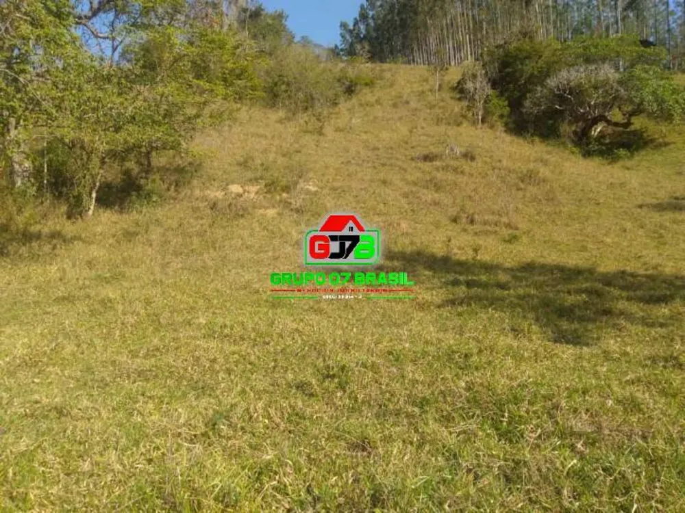 Terreno, 56 hectares - Foto 6