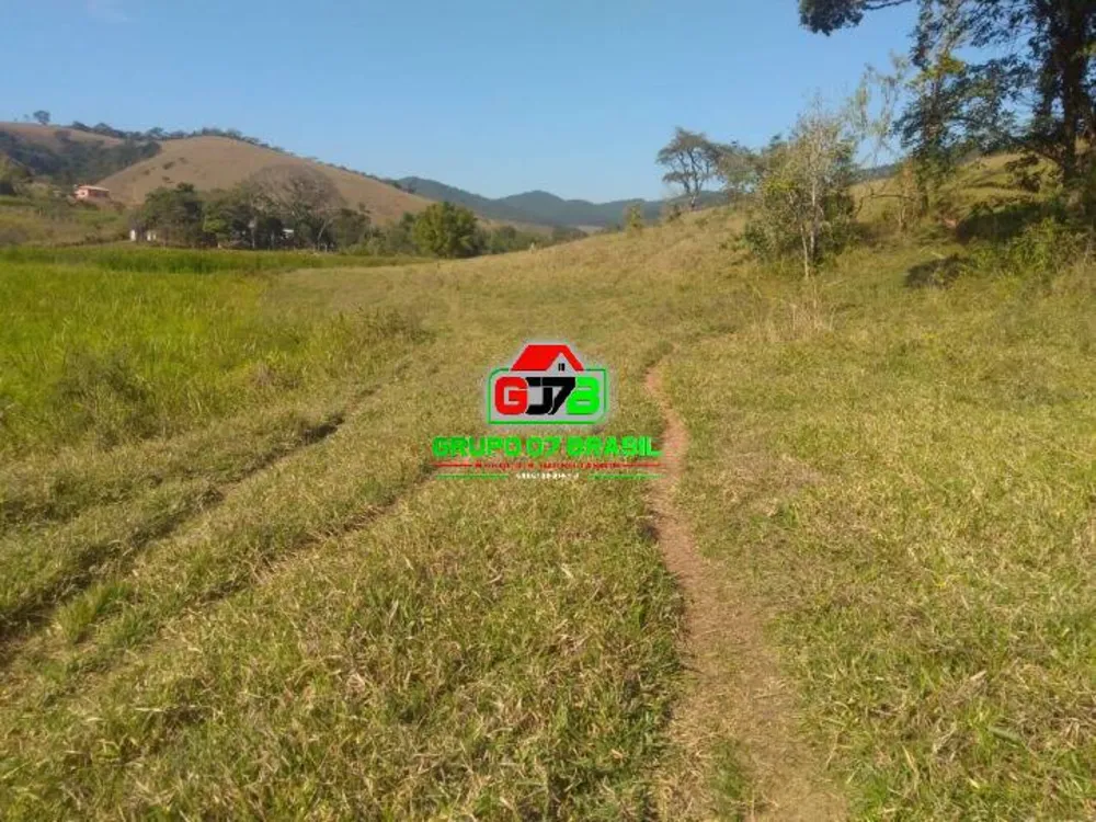 Terreno, 56 hectares - Foto 7
