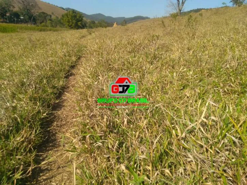 Terreno, 56 hectares - Foto 8