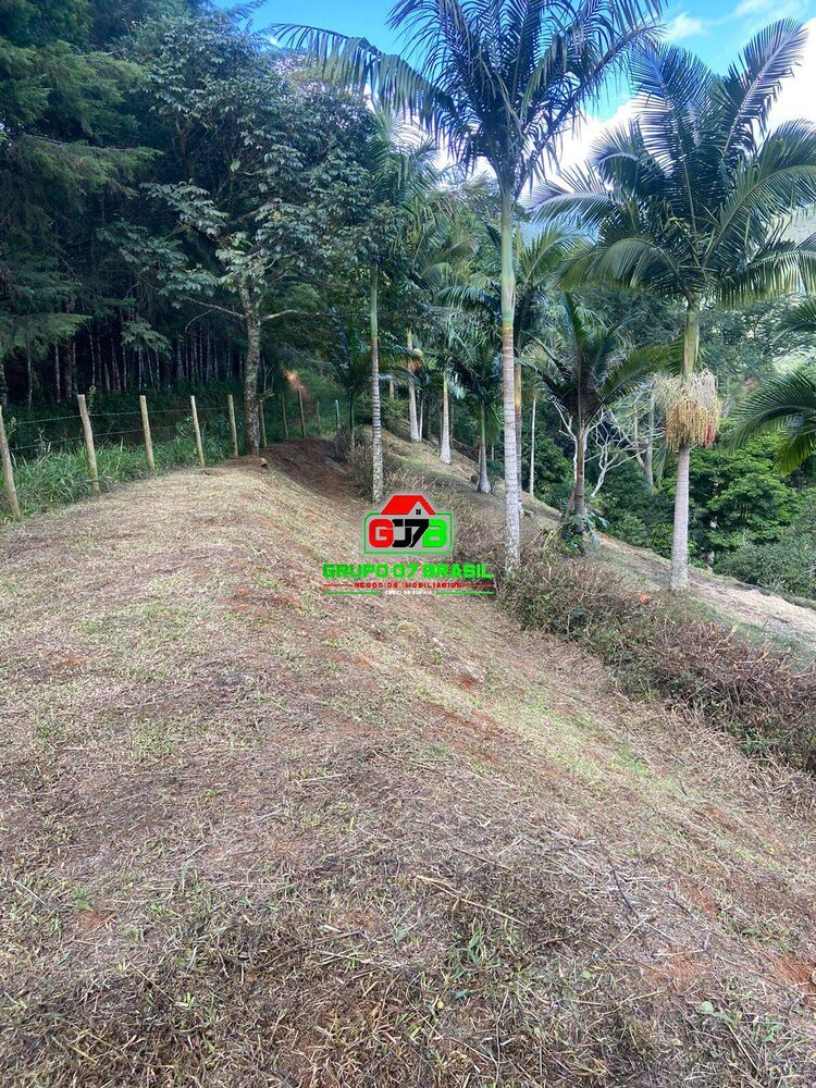 Terreno à venda, 5200m² - Foto 3
