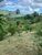 Terreno, 5200 m² - Foto 1