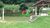 Terreno - Foto 4