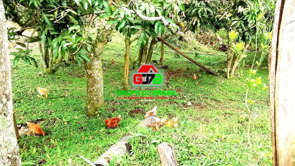 Chácara, 2 quartos, 1 hectares - Foto 10