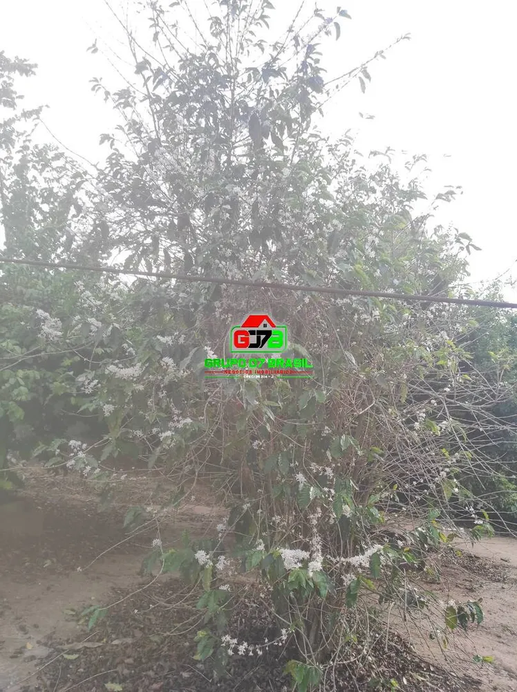 Terreno, 500 m² - Foto 3