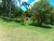 Fazenda, 25 hectares - Foto 4