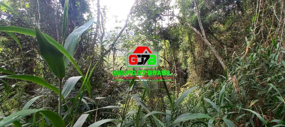 Terreno, 3 hectares - Foto 1